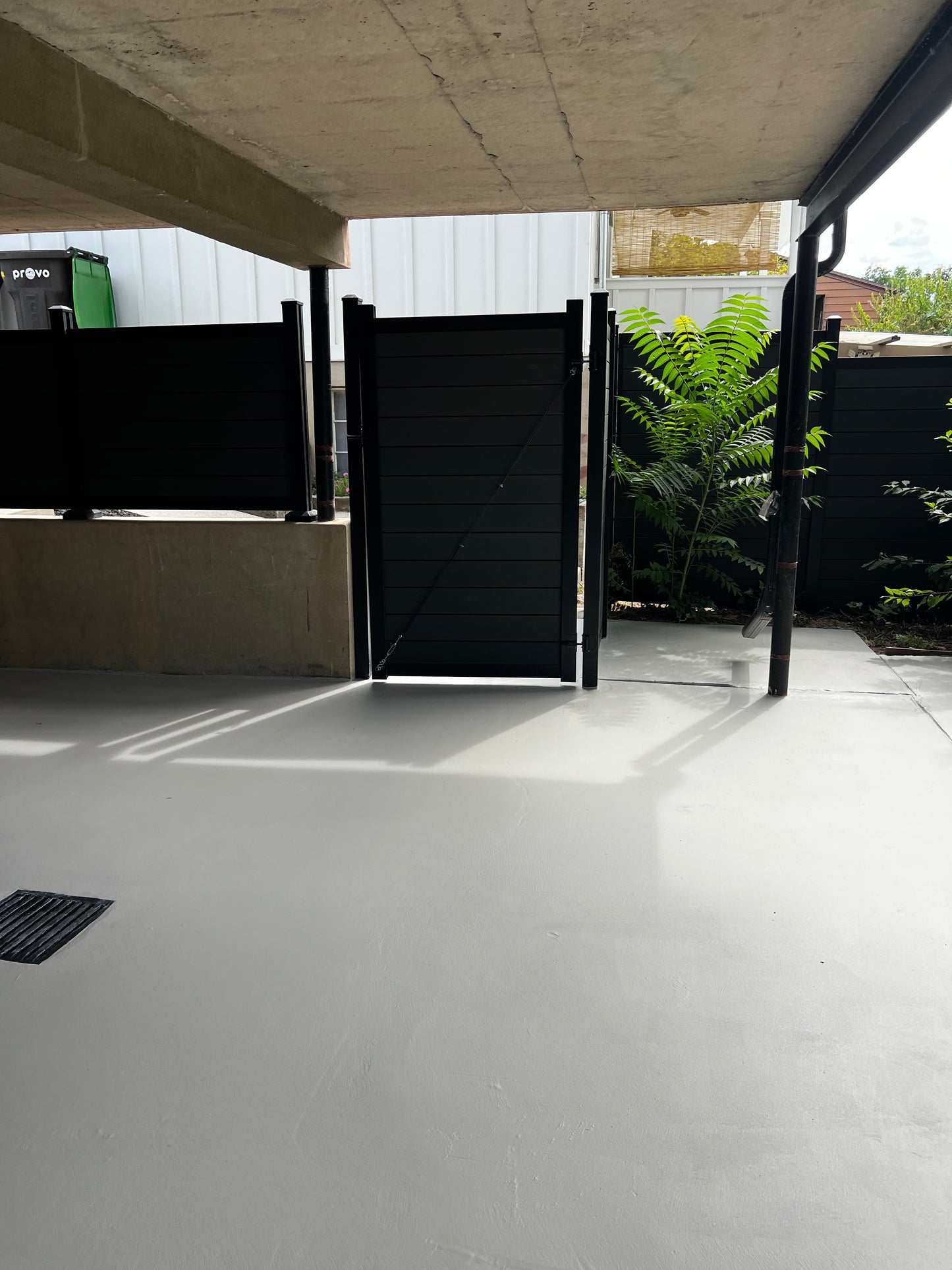 Back Area.